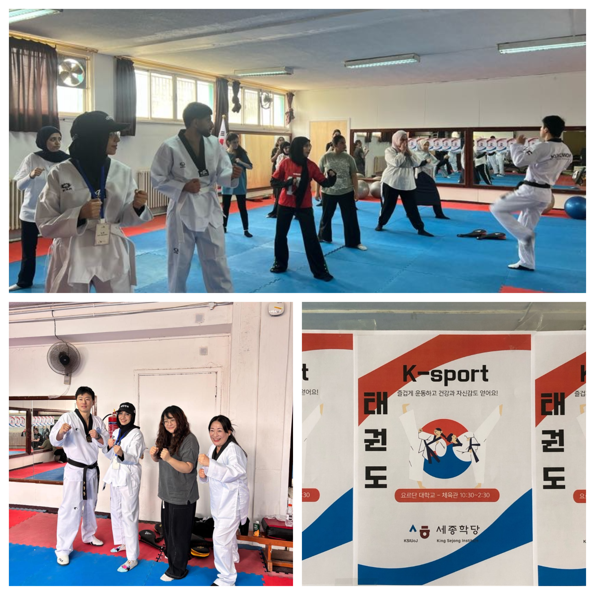 تيكوندو 3 (1).png